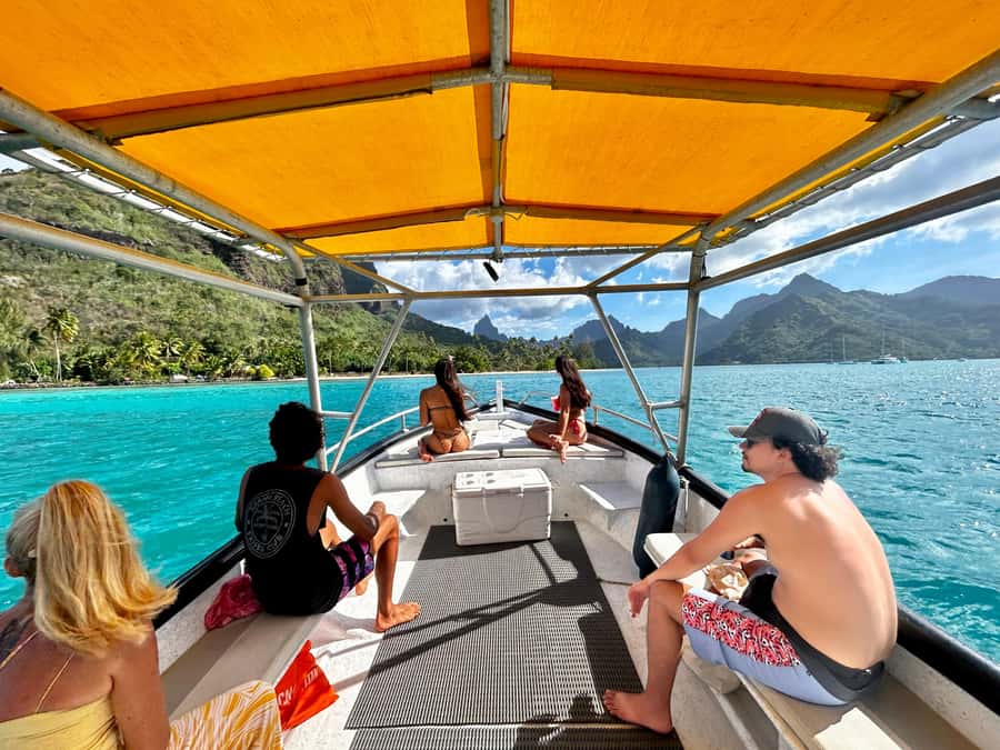 Moorea 4H Shared Boat Tour Whale Swimming and Snorkeling - Moorea in 4 hours: why a shared boat trip makes sense