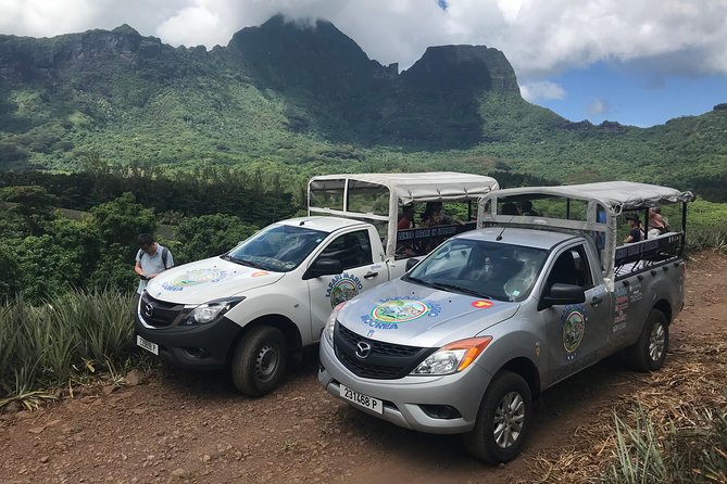 Moorea 4WD Tour Inc. Belvedere, Pineapple Farm, Magic Mountain... - Key highlights worth paying attention to