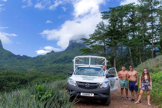 Moorea 4WD Tour Inc. Belvedere, Pineapple Farm, Magic Mountain... - The real appeal: off-road viewpoints without the rental-car stress