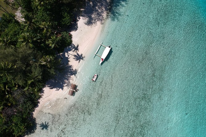 Moorea 6-Hour Snorkeling and Lunch Shared Tour - Snorkeling Gear, Fins, and What You Should Bring