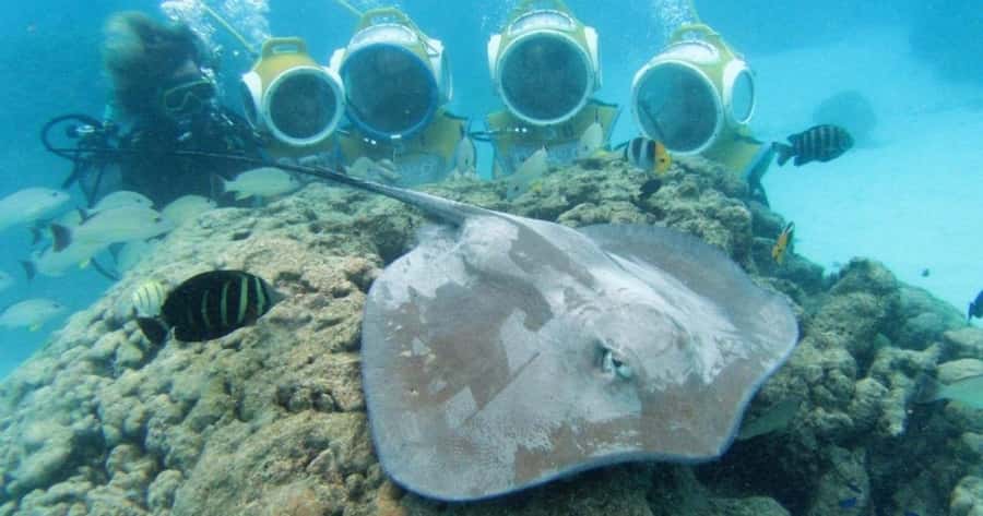 Moorea: Aquablue Helmet Underwater Walking Experience - Moorea’s Underwater Helmet Walk: The Simple Way to See the Lagoon