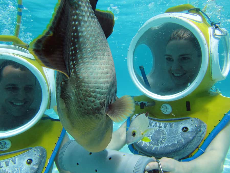 Moorea: Aquablue Helmet Underwater Walking Experience - Your Underwater Walk: What 30 Minutes at 12 Feet Feels Like