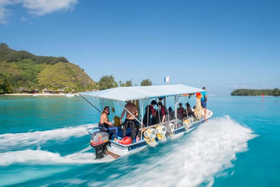 Moorea: Aquablue Helmet Underwater Walking Experience - Getting There: Pier or Hotel Pickup, Then the InterContinental Start