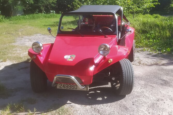 Moorea Buggy Rental - Key highlights to know before you go