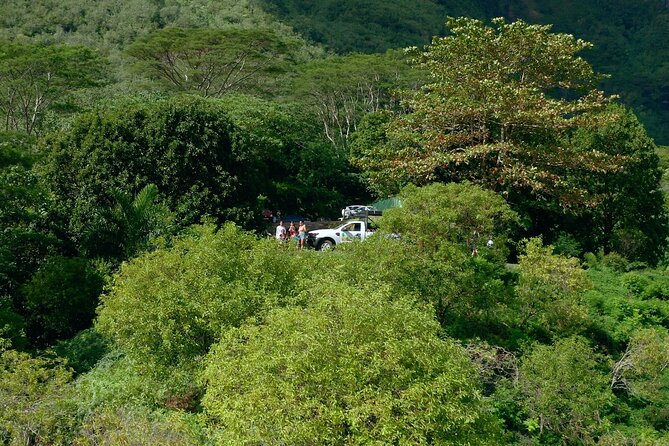 Moorea Cruise Ships: 4x4, Belvedere,Magic Mountain pineaple - Pineapple plantation and panoramic views: fruit as the main event