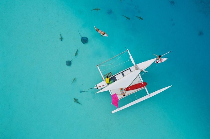 Moorea Discovery Half-day Sailing - Key things to know before you sail