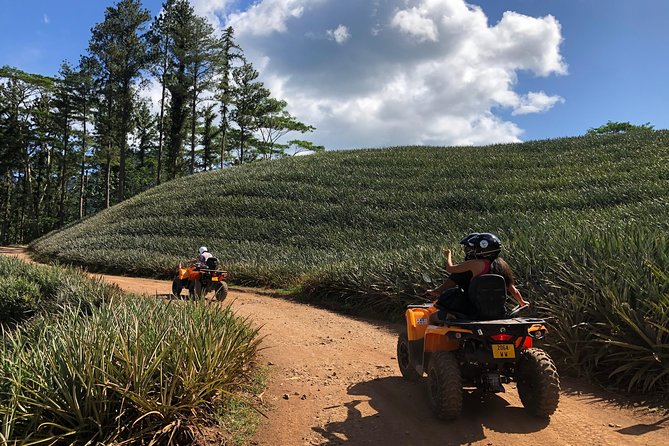 Moorea Explorer Atv Quad Tour - Stop by Stop: How Each Scenic Break Works