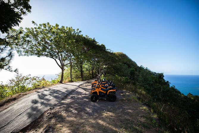 Moorea Explorer Atv Quad Tour - The Agricultural School Stop: Pineapple Fields and Fresh Tastings