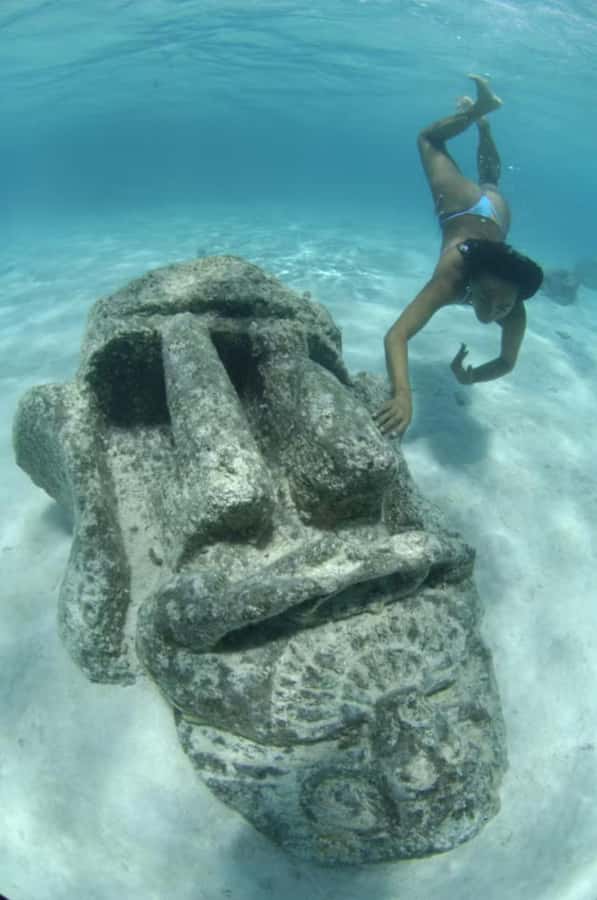 Moorea: Glass Bottom Boat Adventure with Lagoon Wonders - Private Motu Time: Rum Tasting, Tahitian Raw Fish Salad, and a Real Beach Reset
