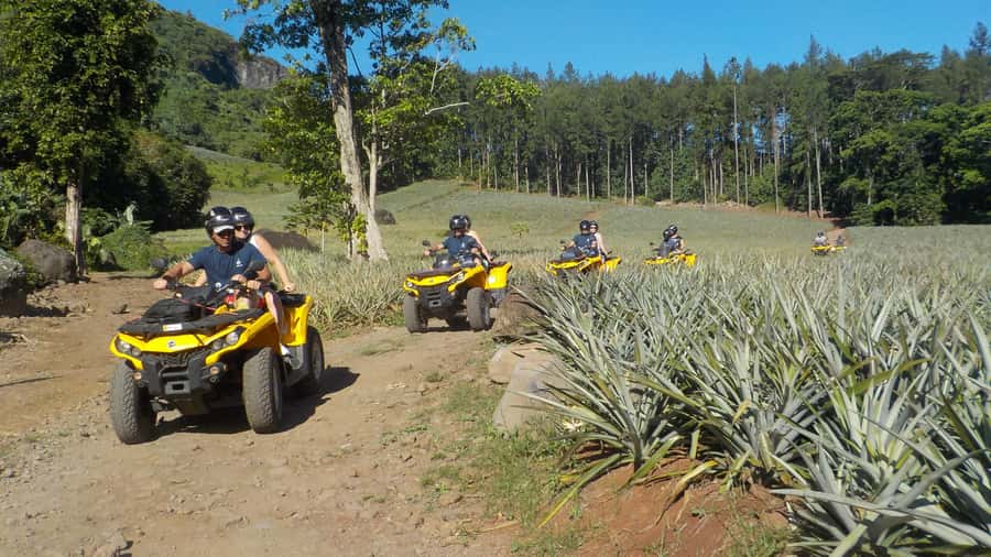 Mo'orea: Guided ATV Nature Tour - Why an ATV tour works so well on Mo’orea