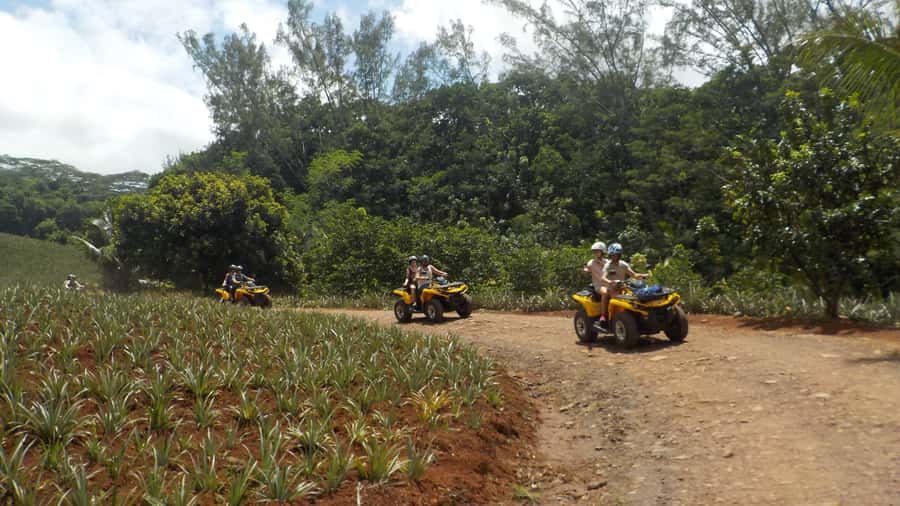Mo'orea: Guided ATV Nature Tour - Opunohu Valley: the part that makes the whole tour feel worth it