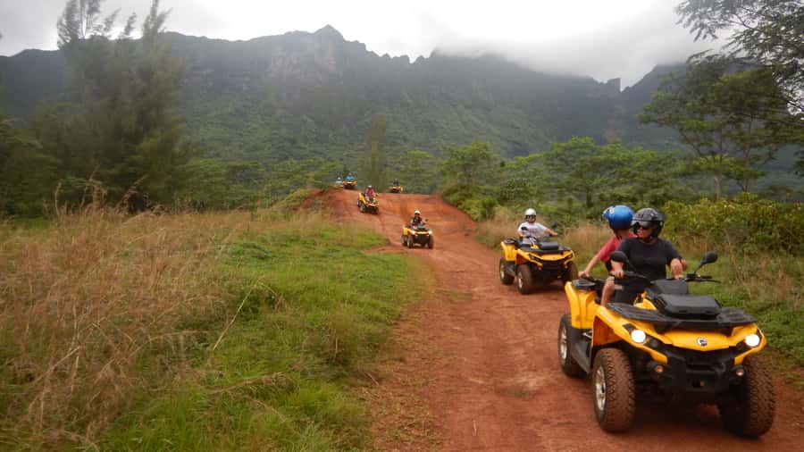 Mo'orea: Guided ATV Nature Tour - Rotui juice factory and distillery: tastings that feel tied to the land