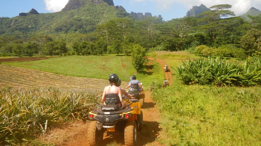 Mo'orea: Guided ATV Nature Tour - Getting back toward Opunohu Bay: the last stretch and the cooldown