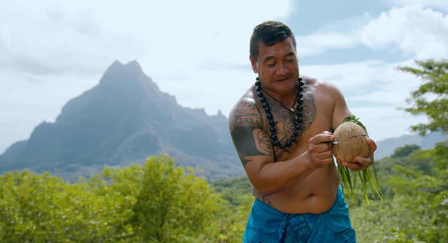 Moorea: Half-Day Open-Air 4WD Safari with Hotel Transfers - Belvedere Lookout and Mount Rotui: the classic photo stop
