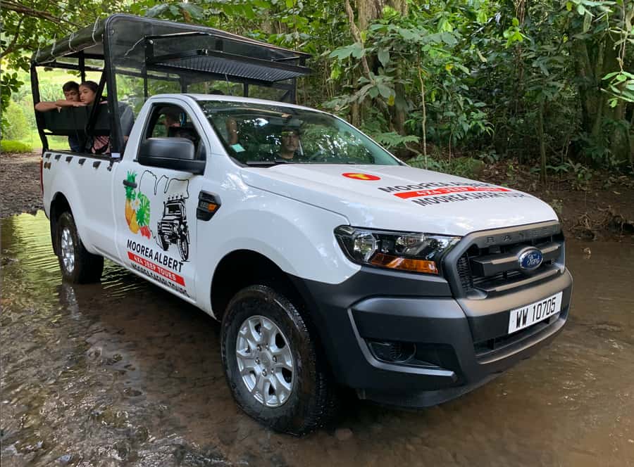 Moorea: Half-Day Open-Air 4WD Safari with Hotel Transfers - The eels stop and that freshwater pond moment
