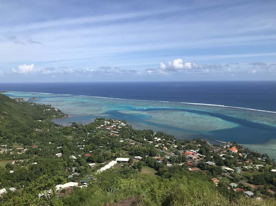 Moorea: Half-Day Open-Air 4WD Safari with Hotel Transfers - Fruit liqueurs, jams, and the pineapple taste trail
