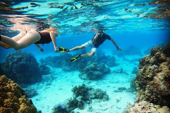 Mo'orea Half Day Private Tour with Snorkeling and Cruising the Lagoon - Key Highlights You’ll Actually Feel