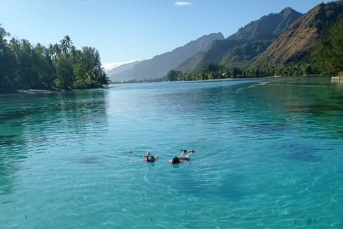 Mo'orea Half Day Private Tour with Snorkeling and Cruising the Lagoon - The Wild West Coast Cruise to a Secret Coral Garden