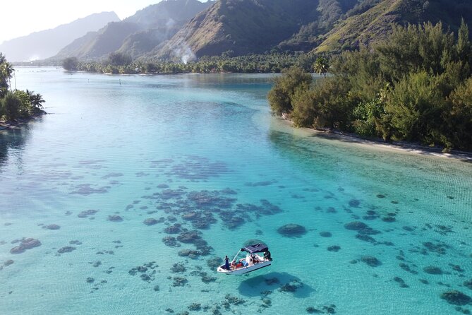 Mo'orea Half Day Private Tour with Snorkeling and Cruising the Lagoon - Fruits, Drinks, and Finishing Back at the Place