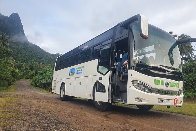 Moorea Island Tour - Moorea in Three Hours: What This Half-Day Tour Really Covers