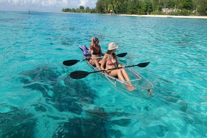 Moorea Lagoon Tour by Transparent Kayak - Who This Tour Fits Best (and Who Might Struggle)