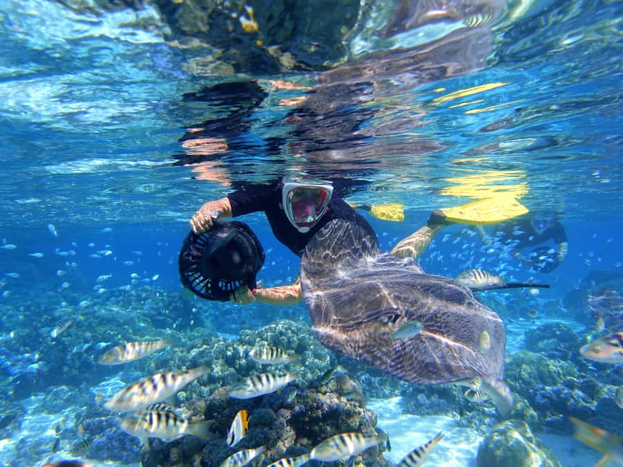 Moorea: Sea Scooter Snorkeling Tour - Stop One and Stop Two: Coral Areas Where the Scooter Does the Work