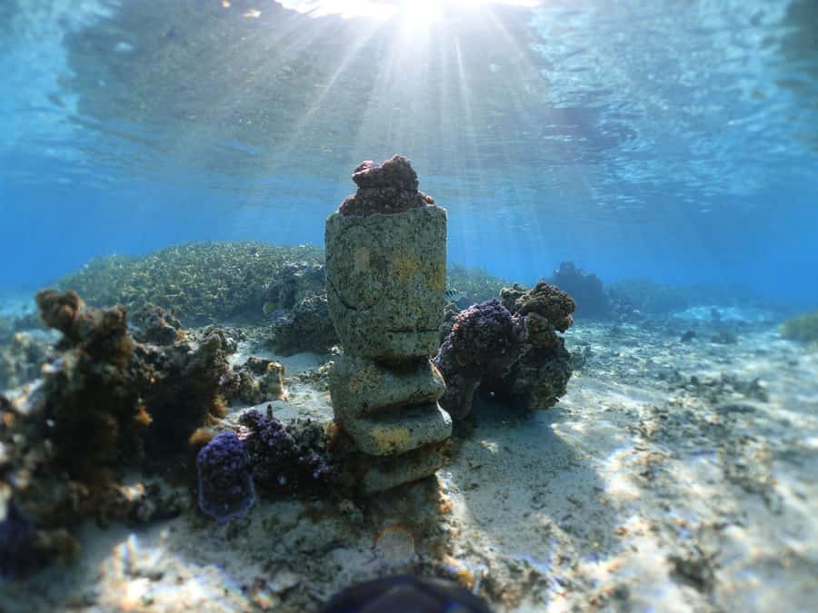 Moorea: Sea Scooter Snorkeling Tour - Equipment, Photos, and the Comfort Pieces That Make You Stay Longer