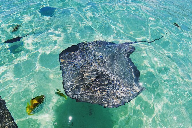 Moorea Solo or Twin 2 hours Jet Ski Tour - Safety Setup: Life Jackets, Clear Instruction, and Ocean Reality