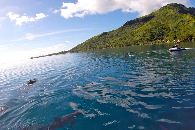 Moorea Solo or Twin 3 hours Jet Ski Tour - When the Lagoon Gets Rough: Safety, Speed, and Motion Sickness