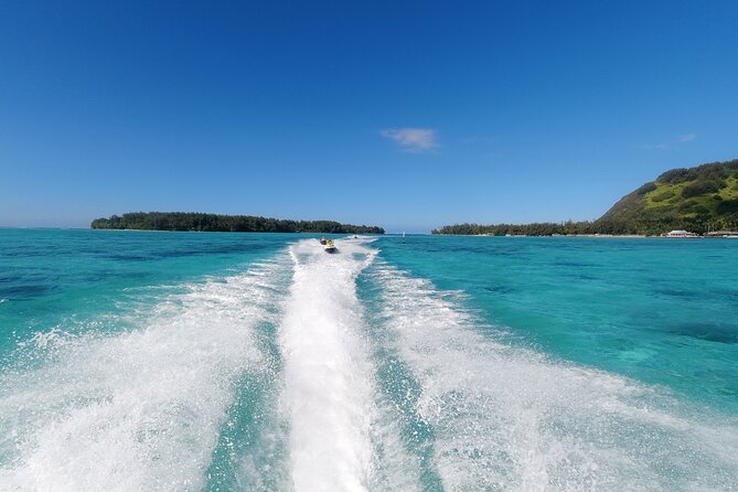 Moorea Solo or Twin Island Tour Jet Ski 4 hours - Moorea Dolphin Center area: spotting marine life from the right angle