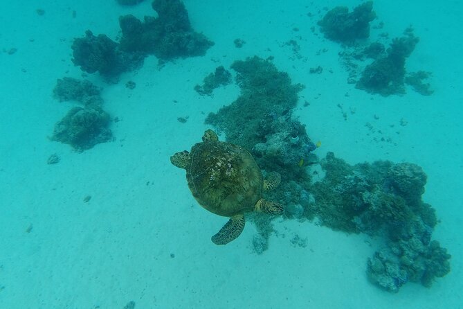 Moorea Solo or Twin Island Tour Jet Ski 4 hours - Price and value: is $327.86 per group fair?