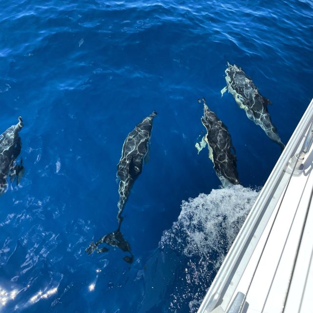 Morro Jable: Sailing Boat Excursion with Food and Drinks - Key highlights you’ll feel immediately