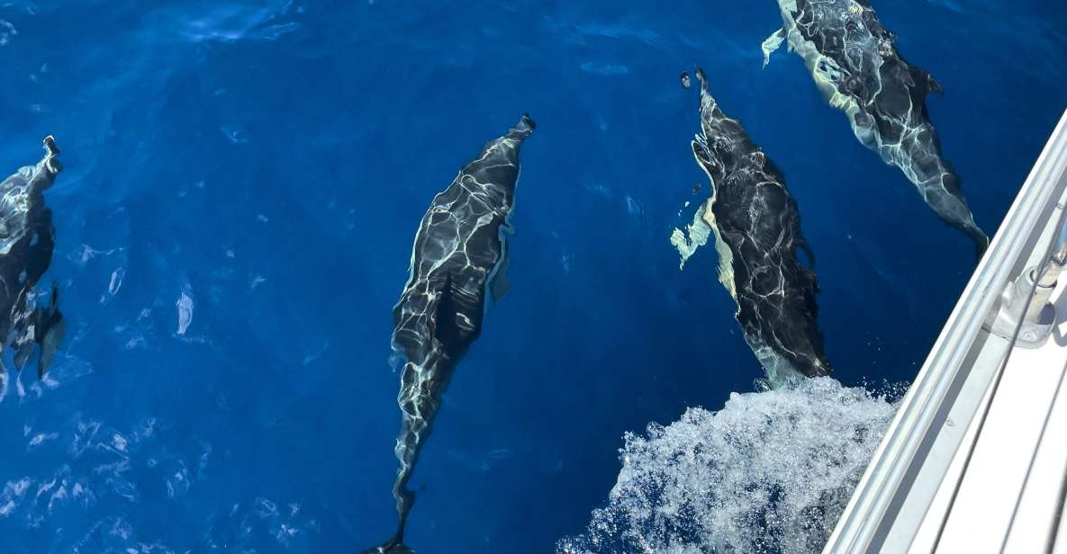 Morro Jable: Sailing Boat Excursion with Food and Drinks - Morro Jable Sailing: The practical reason this 3.5 hours feels perfect