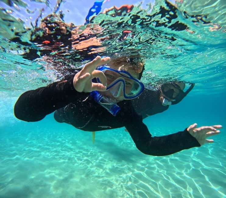 Morro Jable: Snorkeling Adventure - The Main Event: 1 Hour Snorkeling in Clear, Calm Water