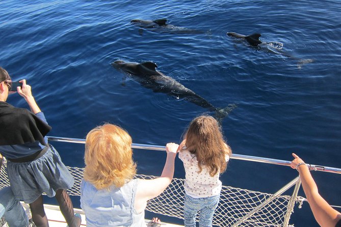 Most Famous Catamaran in Tenerife Island (2 hours and 3 hours tours) - Puerto Colón catamaran magic: why this trip is so popular on Tenerife