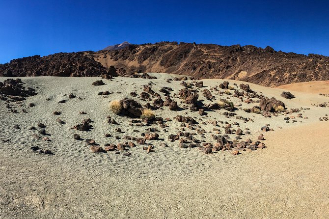 Mount Teide and Tenerife North with Food & Wine Tasting Private Tour - Why this Teide + Tenerife North combo works