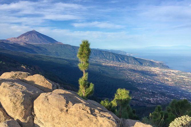 Mount Teide and Tenerife North with Food & Wine Tasting Private Tour - Down the La Orotava valley to El Sauzal’s hand-tended vineyards