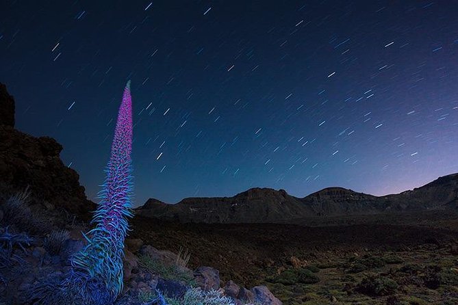 Mount Teide Night Tour: Stargazing, Dinner and Hotel Pick up - Guide-led stargazing with laser pointers (and the limits)