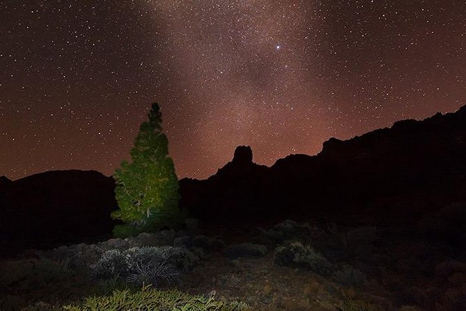 Mount Teide Night Tour: Stargazing, Dinner and Hotel Pick up - Who this tour fits best (and who should rethink it)