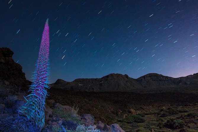 Mount Teide Night Tour: Stargazing, Dinner and Hotel Pick up - Vilaflor dinner at Bodega Reverón: food, wine, and big views