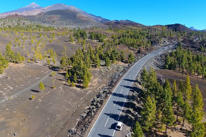 Mount Teide Quad Day Trip in Tenerife National Park - Value check: included admission, extra options, and no meal expectations