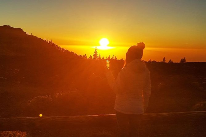 Mount Teide Stargazing with Dinner - Dinner at a Canarian restaurant: what you get, and how to handle picky food