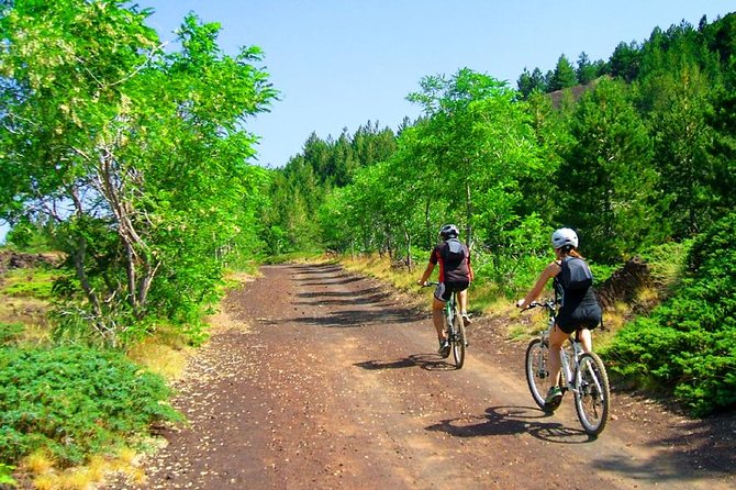 Mountain Biking Etna by MTB or E-Bike - The sandy dirt-road descent: woods, old lava, and real fun