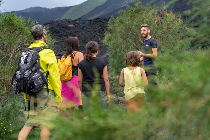 Mt. Etna nature and flavors half day Tour from Catania - Key highlights worth booking for