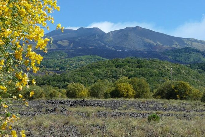 Mt. Etna nature and flavors half day Tour from Catania - Funivia Dell’Etna (cable car): optional, but often the altitude upgrade people want
