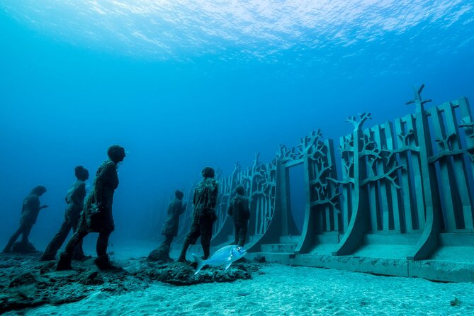 Museo Atlantico for certified divers - Value and price: why $86.89 can make sense for this specific experience