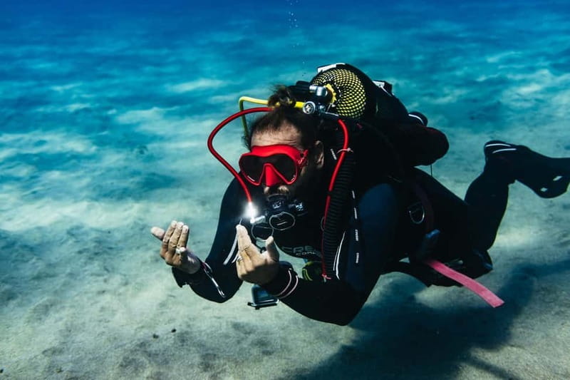 Museo Atlántico: Scuba Dive Lesson for Non-Certified Divers - Price and value: why $187 can be a fair deal