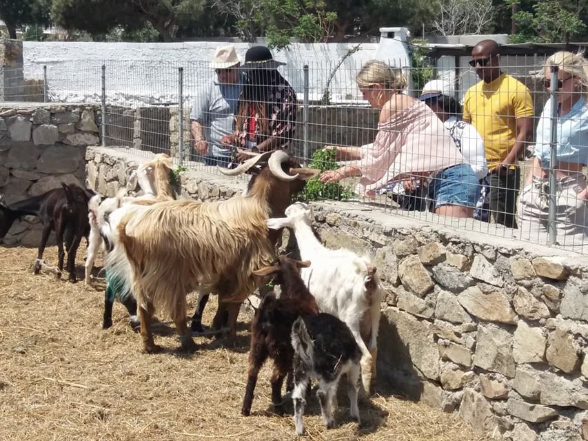 Mykonos: Full-Day Sightseeing Tour with Lunch - Price and value: is $141 fair for what you get?