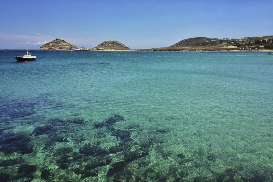 Mykonos: Full-Day South Coast Cruise - Dragonissi Island Caves: A Stop Worth the Weather Risk