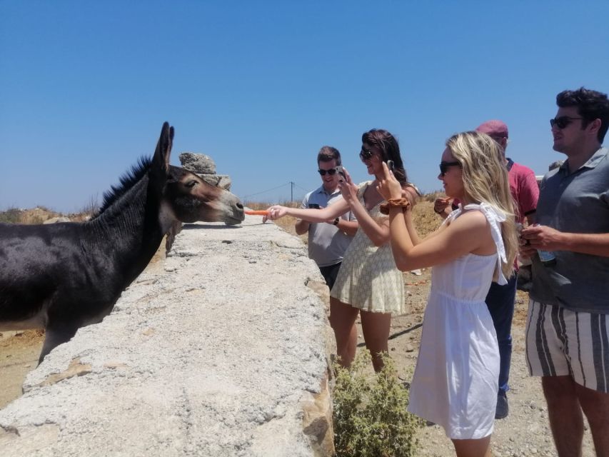 Mykonos: Highlights Tour with Panagia Tourliani Monastery - Agios Ioannis and the scenic drive that saves the day